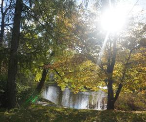 Park Wilsona jesienią