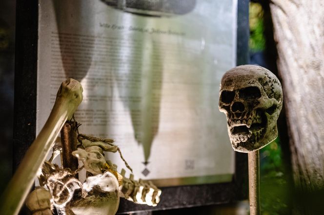 Willa na Jaśkowej Dolinie w Gdańsku