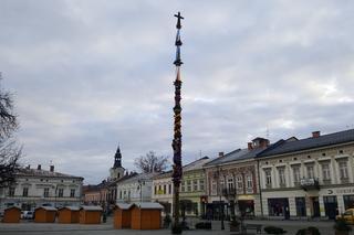 GIGANTYCZNA palma zdobi Rynek w Nowym Sączu. Jak ją postawili? [ZDJĘCIA, FILM]