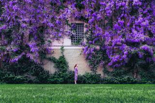 Zdjęcia charakteryzują kontrasty