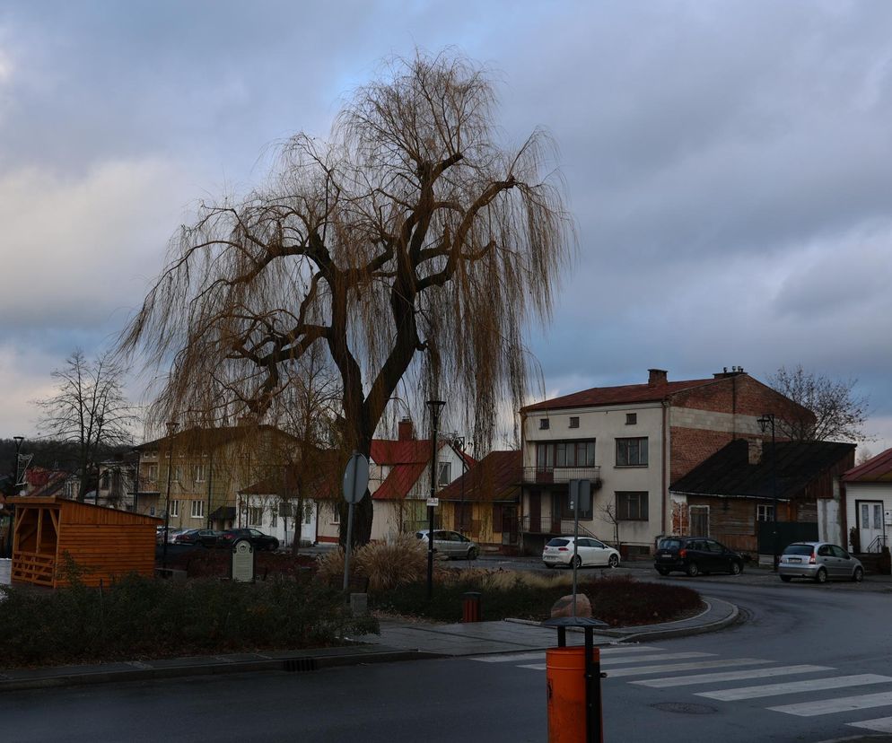 Końskowola od 2025 r. będzie miastem