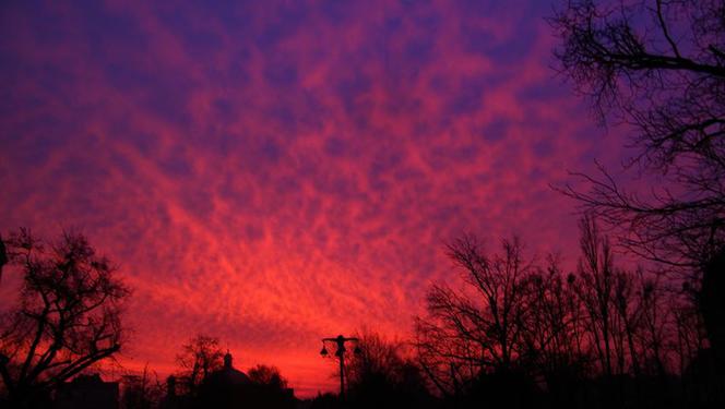 Niebo nad Bydgoszczą zapłonęło! Zobaczcie wyjątkowy wschód słońca! [GALERIA]