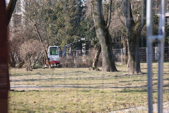 Skwer im. abp Życińskiego zmienia swoje oblicze