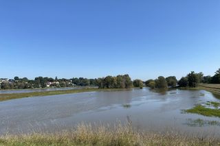 Stan na godz. 12. Na miejscu trwa koszenie wałów 