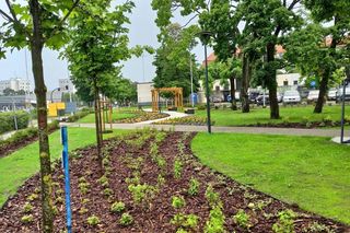 Ukraińskie ustronie to nowy toruński park kieszonkowy