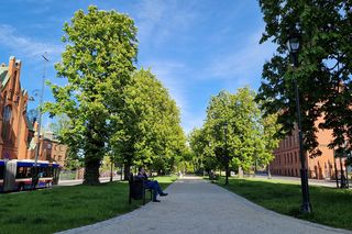 Plac Kościeleckich rozkwita na wiosnę. Bydgoszczanie chętnie wybierają go na spacer