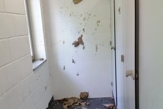 Niszczymy publiczne szalety na potęgę. Torunianie muszą zadowolić się „ToiToiami” [FOTO]