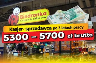 Zarobki w Biedronce