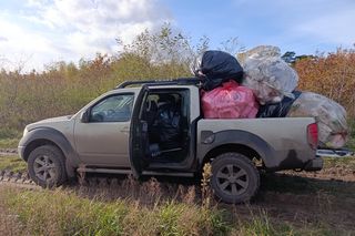 Trucizna ukryta w lesie. Leśnicy wściekli po odkryciu makabrycznego znaleziska