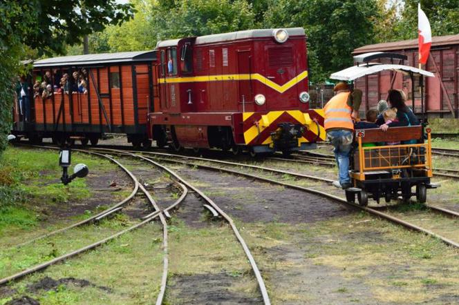 Gnieźnieńska wąskotorówka rozpoczyna regularne kursy