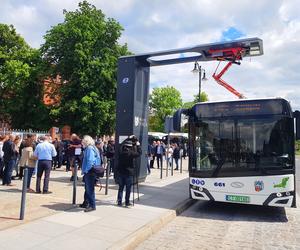 98 lat temu autobusy wyjechały na ulice Torunia. Zobaczcie, jak się zmieniały pojazdy MZK