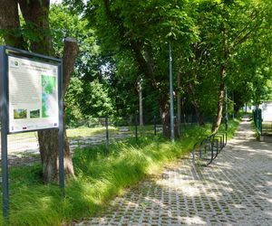 To najbrzydsza ulica według AI. „Stanowi kontrast do nowoczesnej infrastruktury miasta”