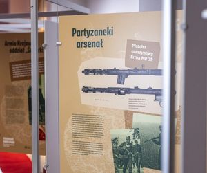 To, co archeolodzy odkryli w lesie, trafi na sejmowe korytarze. Jest wystawa pamiątek z obozowiska partyzantów AK w Borach Tucholskich