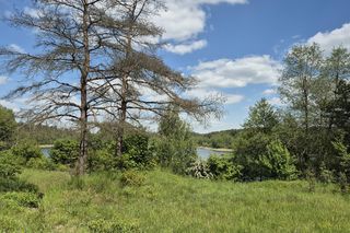To jezioro w Olsztynie ma niezwykle czystą wodę. Jest kilka dzikich plaż, które świecą pustkami