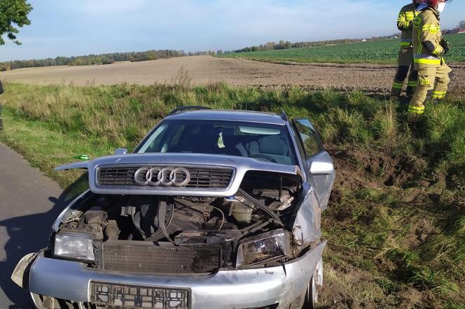 Wypadek na drodze wojewódzkiej pod Lesznem. Jedna osoba trafiła do szpitala