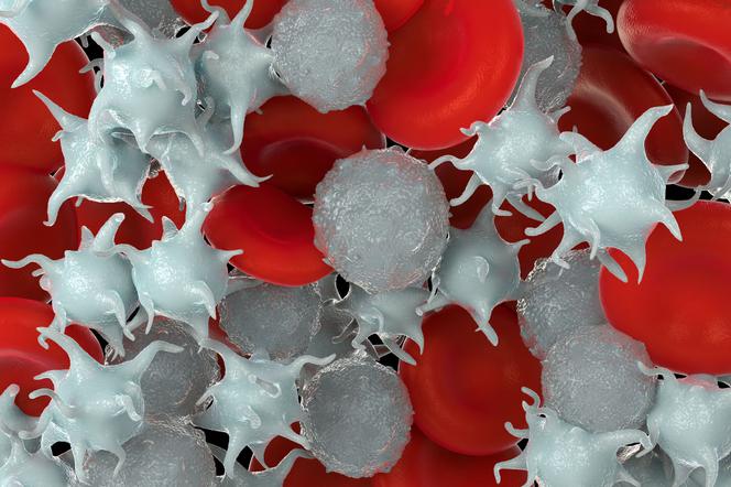 LIMFOPENIA: spadek liczby limfocytów we krwi. Przyczyny, rodzaje i leczenie limfopenii