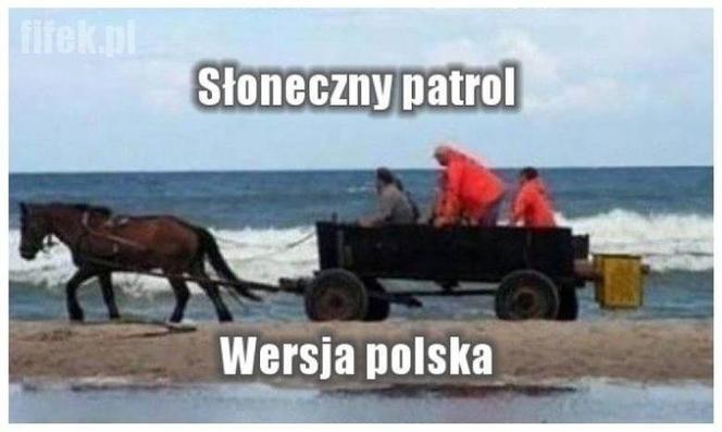  Polacy na wakacjach dają czadu! Zobacz NAJLEPSZE MEMY: Janusz i Grażyna w formie