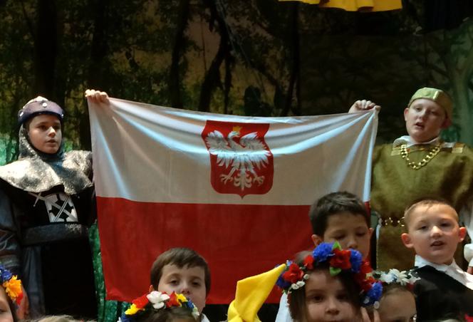 polonia, greenpoinit