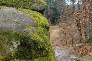 Rezerwat Przyrody Skały pod Adamowem