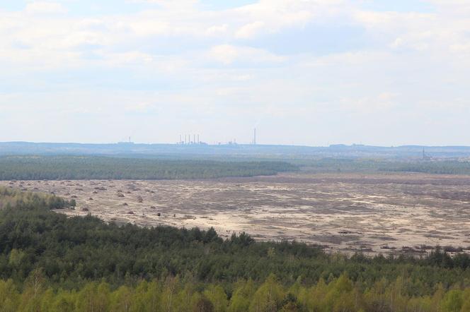 Największa pustynia w Polsce leży w Małopolsce. Odwiedza ją tysiące turystów [GALERIA]