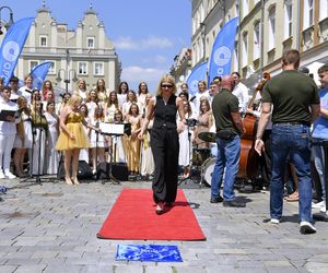 W opolskiej Alei Gwiazd odsłonięto kolejne tablice.