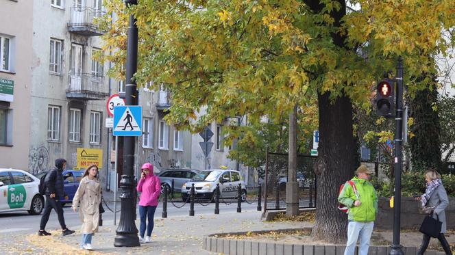 Nowa pora roku już jest w mieście. Lublin przybrał już jesienne barwy. Zobaczcie!