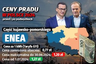 Ceny prądu w Polsce 2024 - przed i po podwyżkach 
