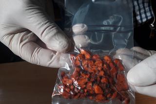 Marihuana, tabletki ekstazy oraz grzyby psylocybinowe nie trafią do klientów