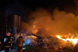 Gigantyczny pożar kurnika. Jęzory ognia strawiły cały budynek. Spłonęło 25 tysięcy młodych pisklaków!