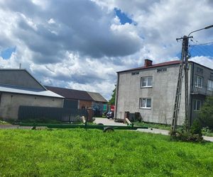 Zabił Wojtka i podrzucił zwłoki przy cmentarzu