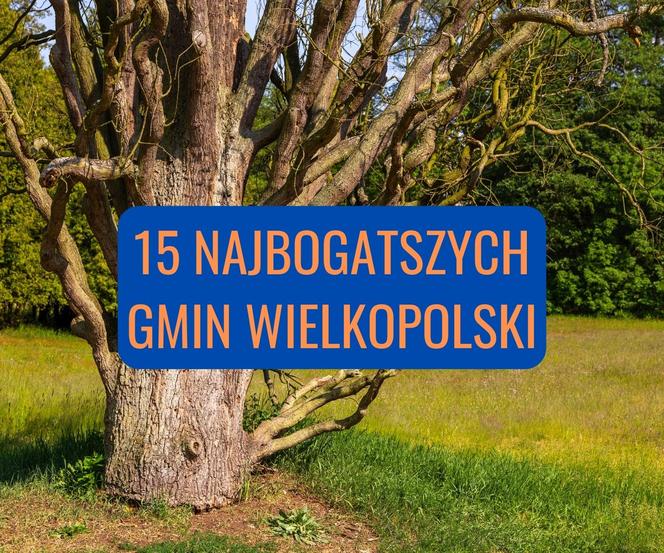 15 najbogatszych gmin w województwie wielkopolskim