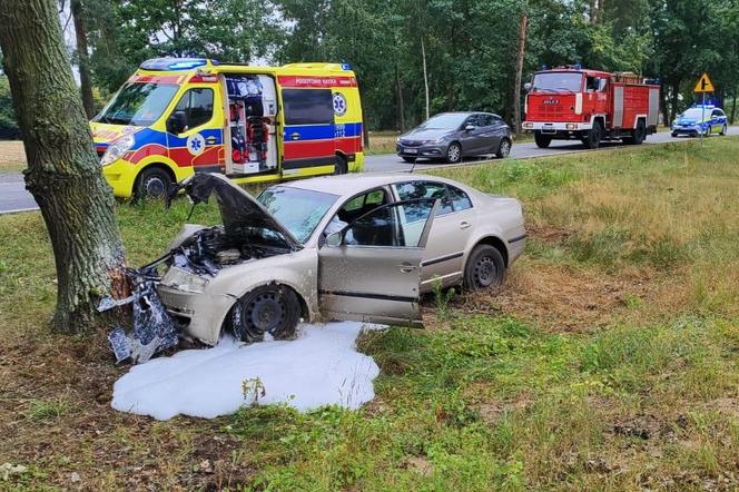 Tragedia w woj. lubelskim. Samochód uderzył w drzewo i zapalił się. Kierowca nie przeżył