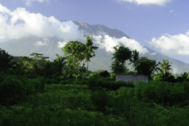 Bali