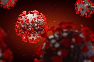 Białko koronawirusa może uszkadzać barierę krew-mózg - odkryli naukowcy