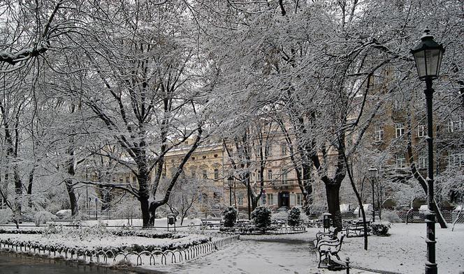 Pierwszy śnieg już w ten weekend! Czy Kraków jest gotowy na uderzenie zimy?
