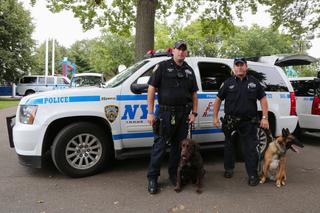 NYPD idzie na wojnę z gangami