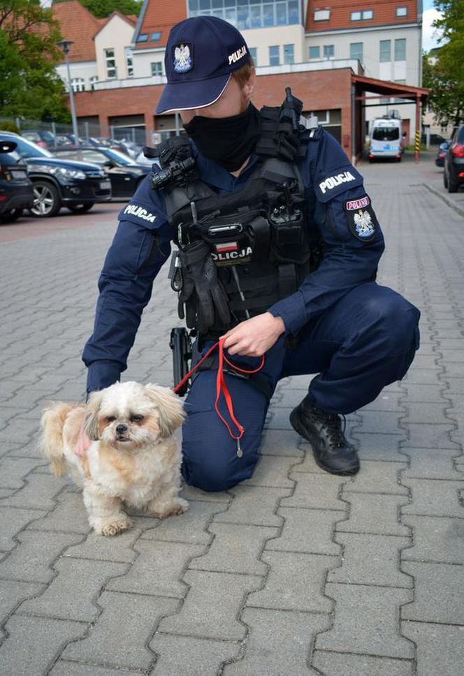 Policjant przygarnął psa