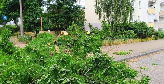 Burze nawiedziły województwo kujawsko-pomorskie. Zdjęcia z akcji strażaków