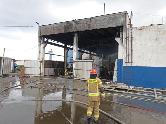 Pożar w Gdańsku, spłonęła hala spalarni odpadów niebezpiecznych Port Service