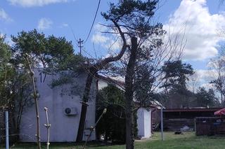 W niepozornym domku kryła się prawdziwa jaskinia rozpusty