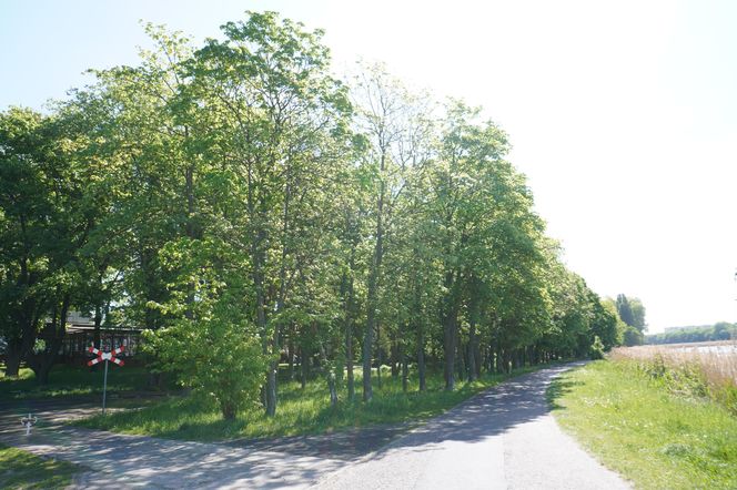 3. Park nad Maltą 