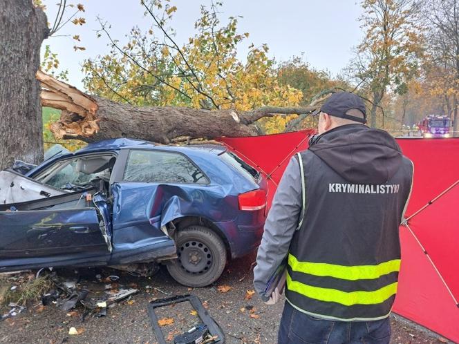 Audi wbiło się w drzewo, 18-latka nie żyje