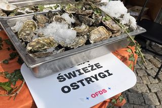 Europejski Festiwal Smaku w Lublinie. Gości kusiły krajowe i lokalne specjały