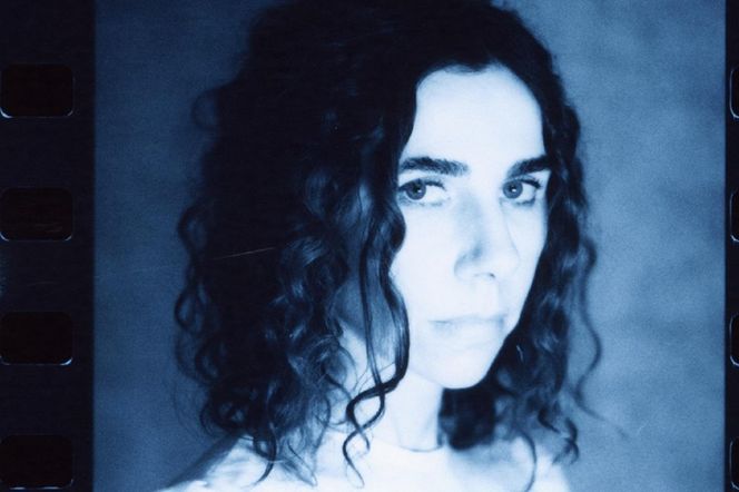 PJ Harvey