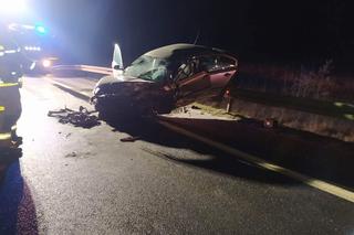 Tragiczny wypadek na DK 91 w Nowych Marzach. Nie żyje kierowca, drugi w szpitalu