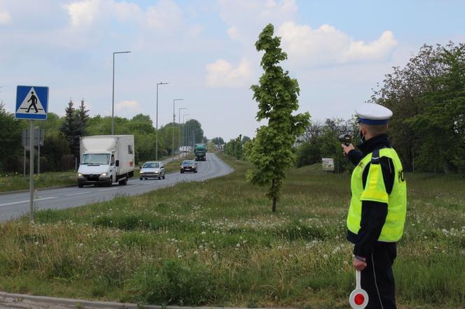 Ponad 250 policjantów wyszło na drogi. TO, co ujawnili, SZOKUJE! 