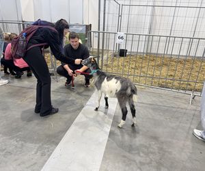 ZooPark w Lublinie. Dzień drugi