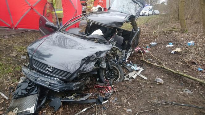 Koszmarny wypadek pod Bydgoszczą. 19-latka wjechała prosto pod tira. Kobieta nie żyje