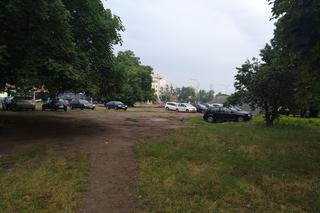 Wzdłuż parkingu Centrum Handlowego Arena wyrosną drzewa