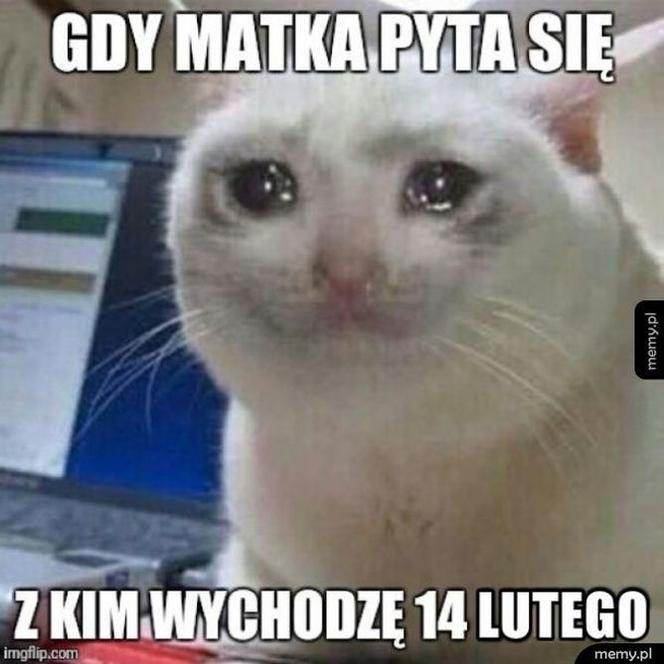 WALENTYNKI 2020 MEMY